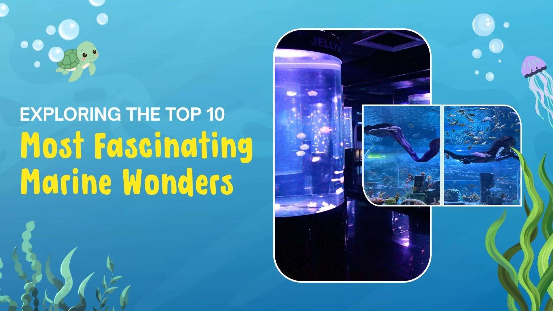 Exploring the Top 10 Most Fascinating Marine Wonders